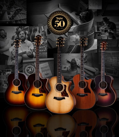 Guitars Taylor Guitars